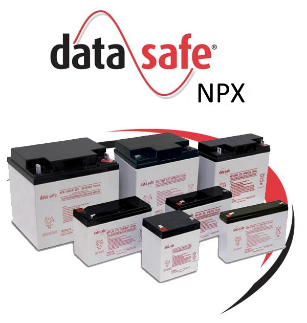 DataSafe NPX